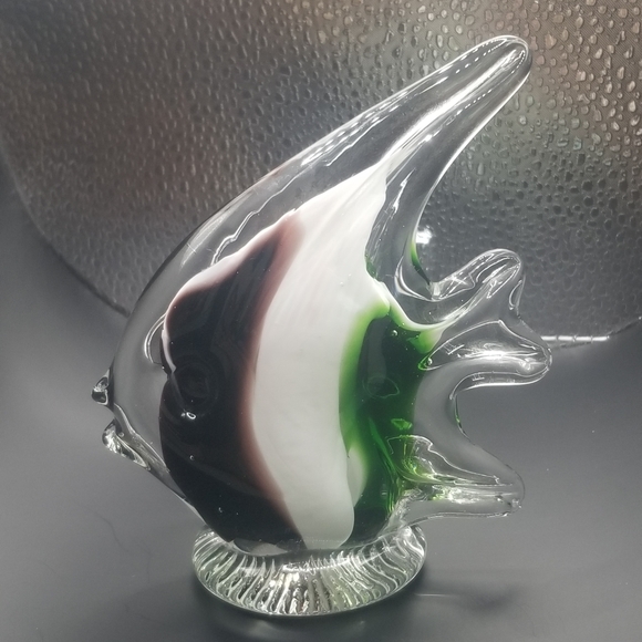 Glass fish - Picture 11 of 16